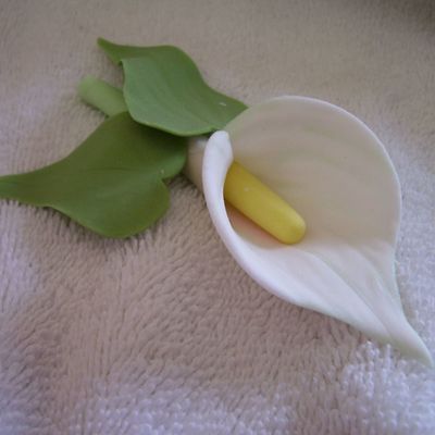 Single Calla Lilly