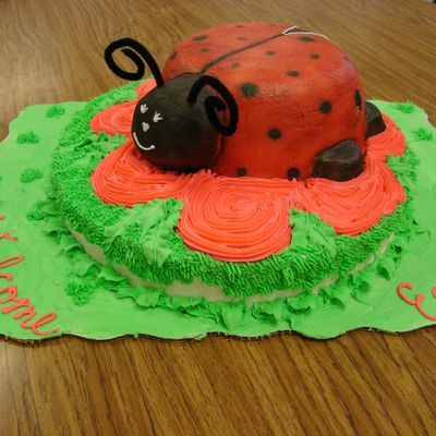 Ladybug Baby Shower