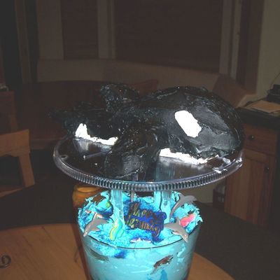 Shamu Cake