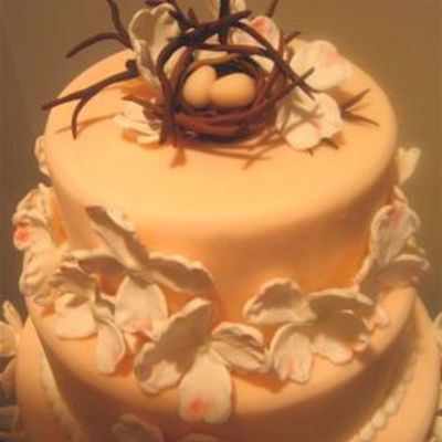 Dogwood Cake