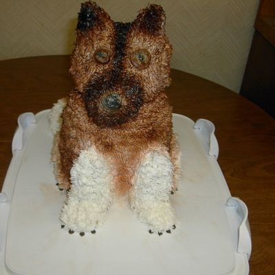 Akita Dog Cake