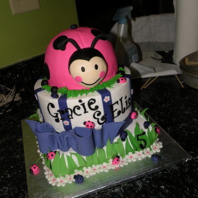 Pink And Purple Ladybug Cake