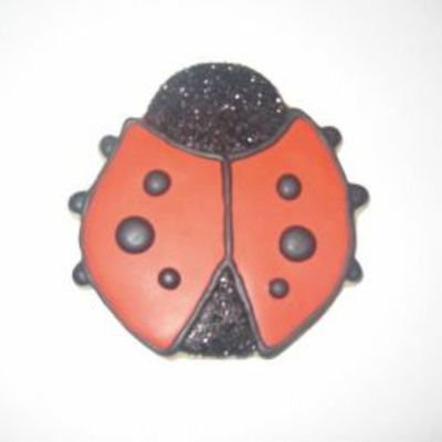 Ladybug