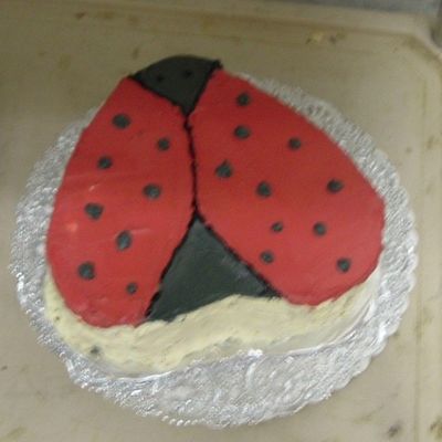 Ladybug Cake