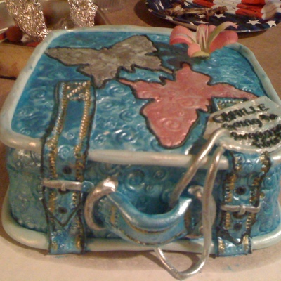 Mini Butterfly Suitecase Cake