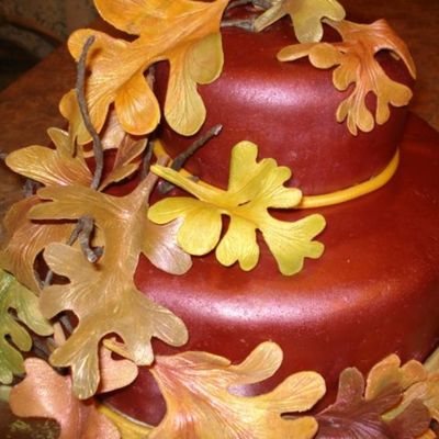 Fall Close Up