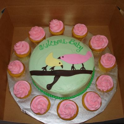 Baby Shower Birds & Cupcakes