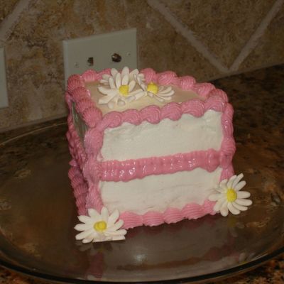 Big Cake Slice
