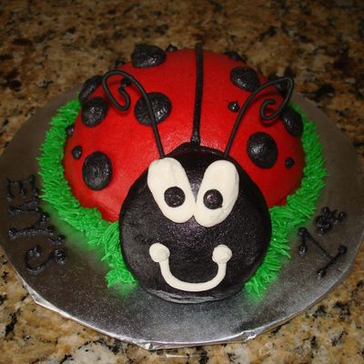 Ladybug Smash Cake