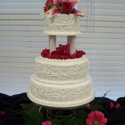 Star Gazers & Swirls