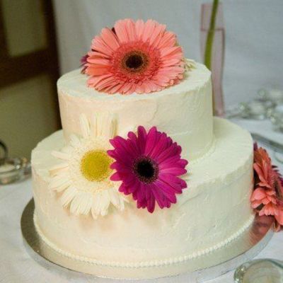 Gerber Daisies