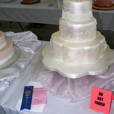 2008 Mid-Atlantic Cake Show Intermediate Division - Best Of Division Winner