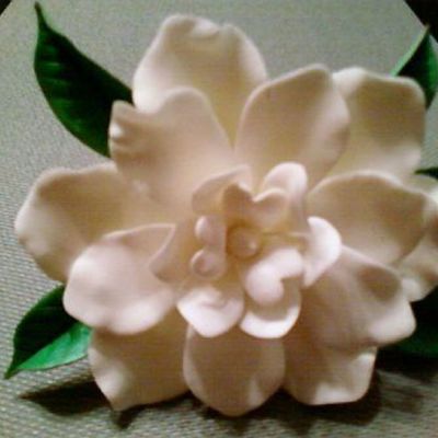 Gardenia