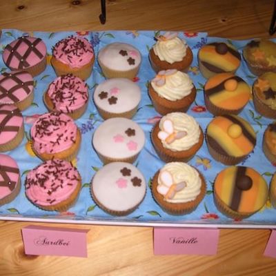 Various Cupcakes