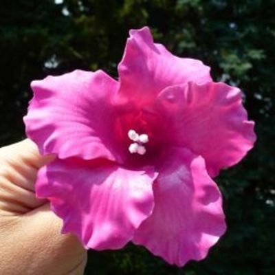 Gumpaste Hibiscus