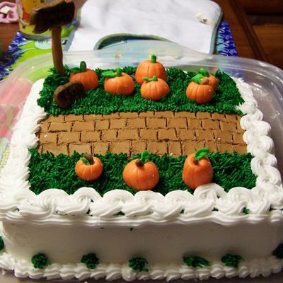 Little Pumpkin Patch