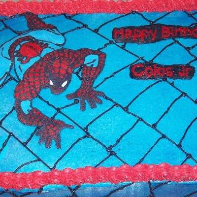 Fbct Spiderman (Larger Picture)