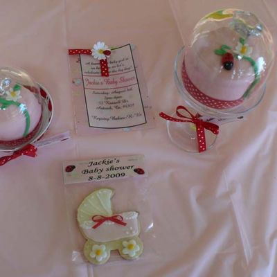 Ladybug Baby Shower