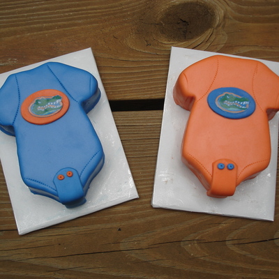Florida Gators Onsies