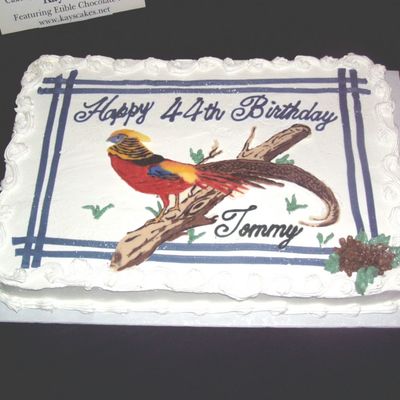 Chinese Golden Pheasant