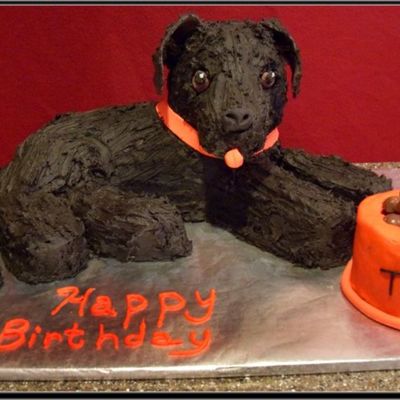 Black Labrador Cake