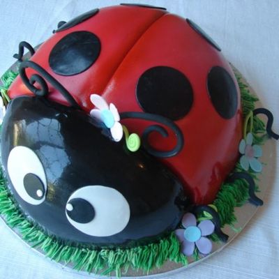 Large Ladybug
