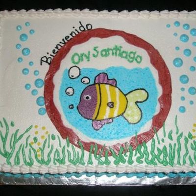 Ory Bb Shower