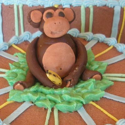 Poor Monkey
