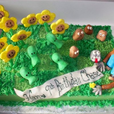 Plants Vs. Zombies Birthday Cake