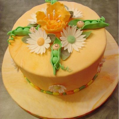 Wilton Fondant Gumpaste Class Cake