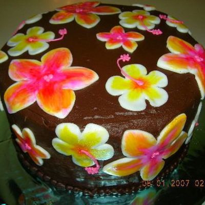 Hawaiian Tropical Chocolate Cake
