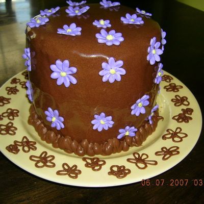 Purple Daisies