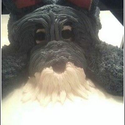 'annie' The Dog Of A Co-Worker For Her Husband's 80Th Birthday!