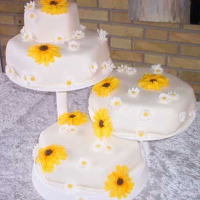 Sunflower Cake