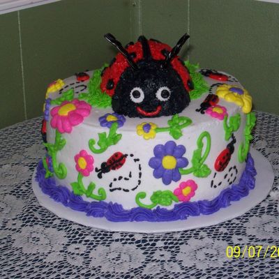 Ladybug Cake