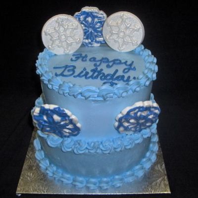 Snowflakes For Womens Shelter