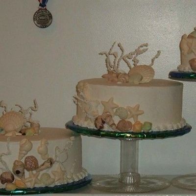 Seashell Trio