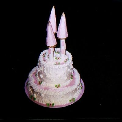 Wilton's Castle Cake