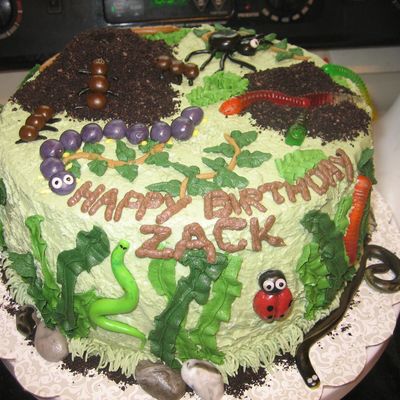Zack's 4Th Birthday Cake
