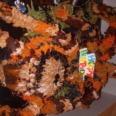 3D Tarantula Cake