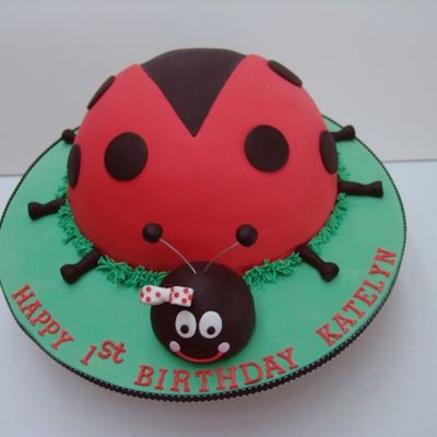 Ladybug