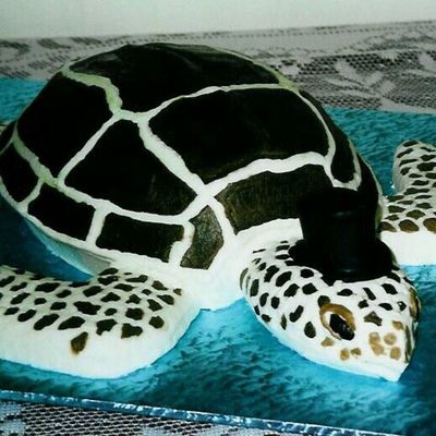Grooms Sea Turtle