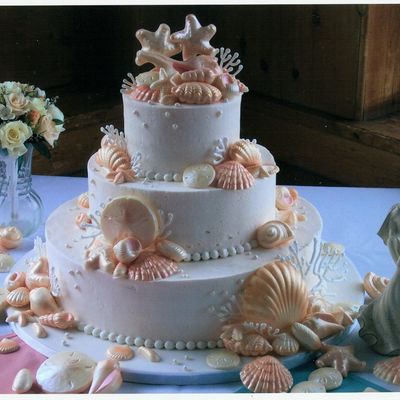 Sea Shells & Coral