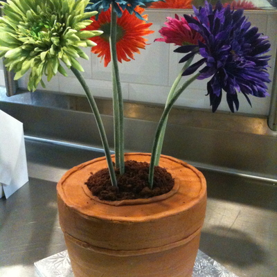 Flower Pot Cake