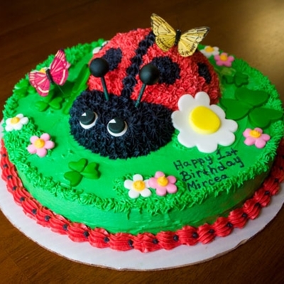 Lady Bug Cake