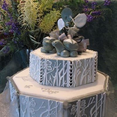 Engagement Cake With Turtles