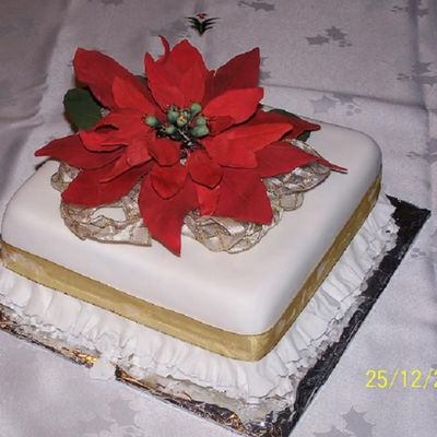 Christmas Poinsettia