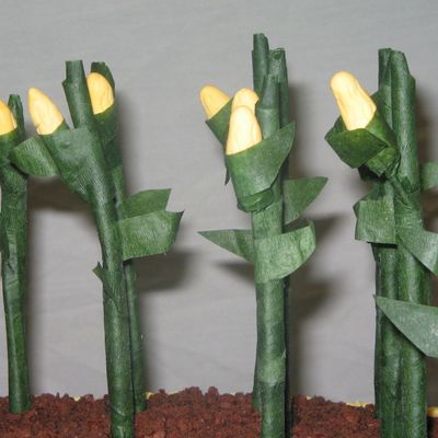 Gumpaste Corn Stalks
