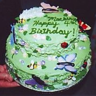 Bc Cake With Fondant Bugs And Flowers