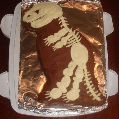 Fossil Cake